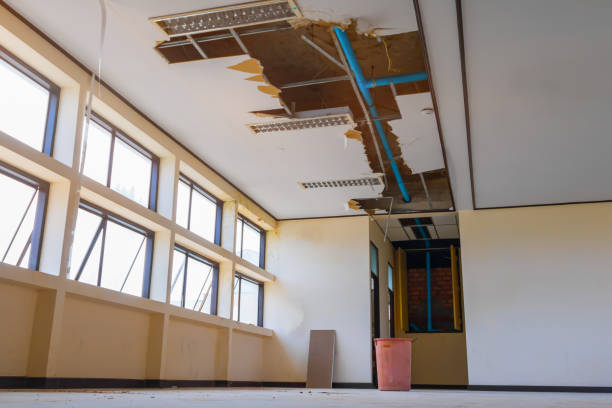 Best Basement water damage restoration  in Leesport, PA