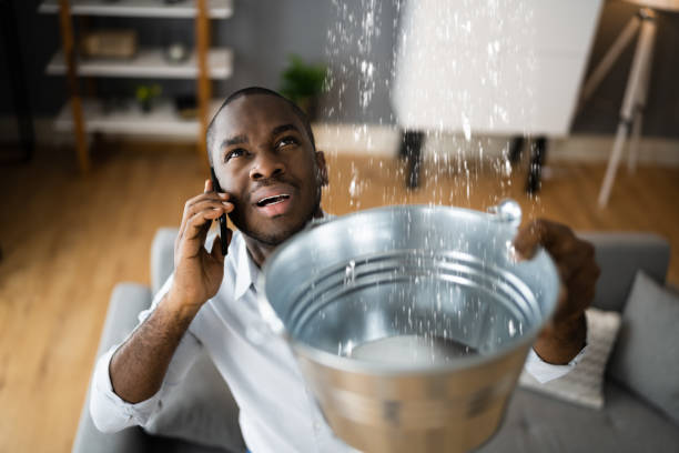 Best Water damage restoration near me  in Leesport, PA