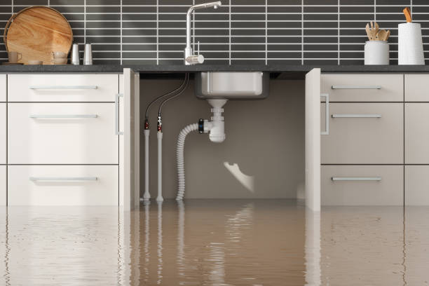 Best Sewage cleanup and water damage restoration  in Leesport, PA