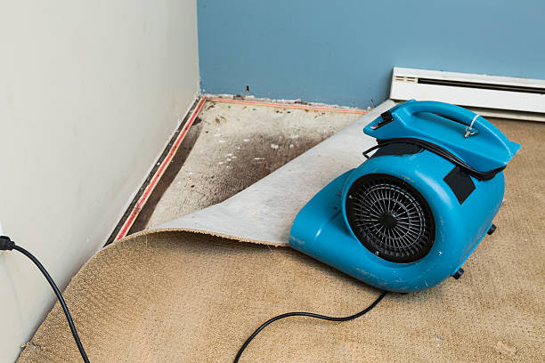 Best Water damage restoration services  in Leesport, PA